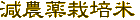 ���_��͔|��